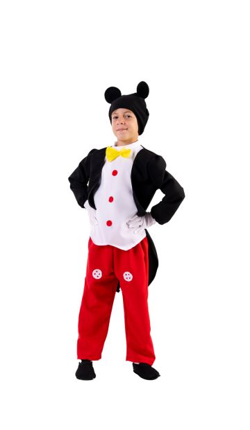 Αποκριάτικη Στολή Ποντικούλης